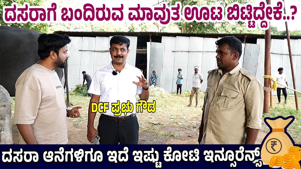 ದಸರಾಗೆ ಬಂದಿರುವ ಮಾವುತ ಊಟ ಬಿಟ್ಟಿದ್ದೇಕೆ? | dasara elephant | dasara anegalu | gaja payana  | RJ-415