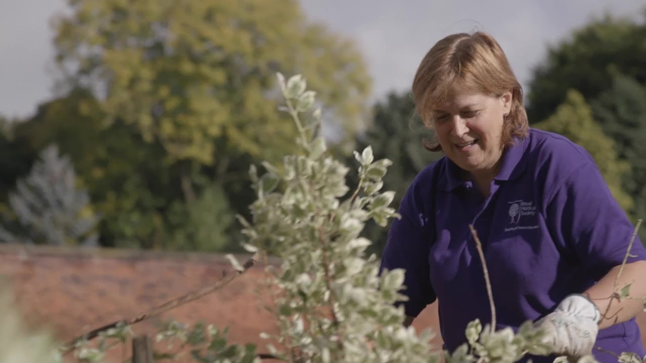 Meet the volunteers | RHS Garden Bridgewater | Royal Horticultural Society