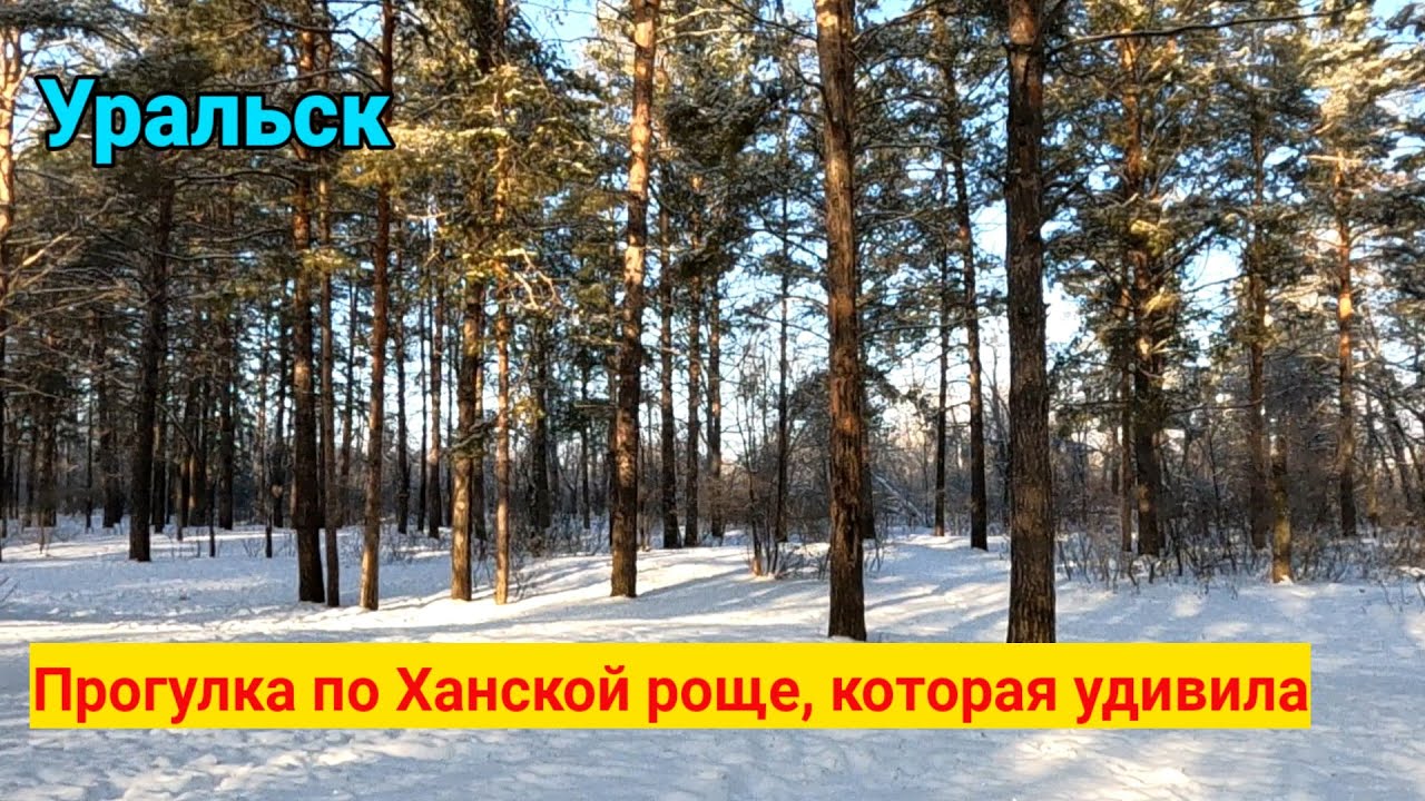 Ханская роща удивила нас