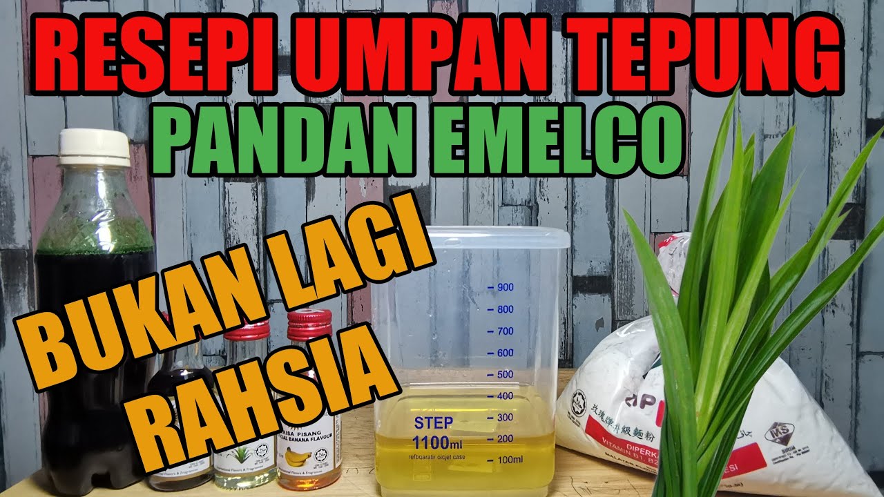 UMPAN TEPUNG PANDAN MUDAH DAN SENANG MESTI PACAK. TAK PACAK JGN MARAH YE