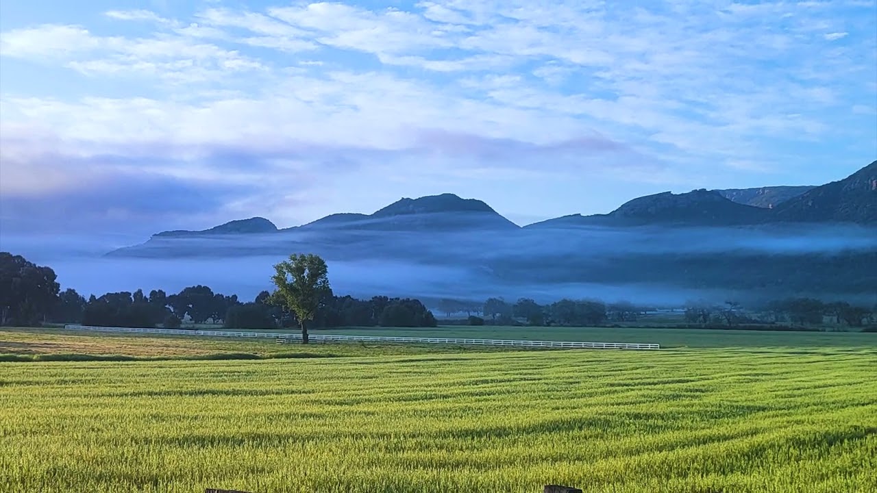 Opening vibrations of all the Green Fields of the America's