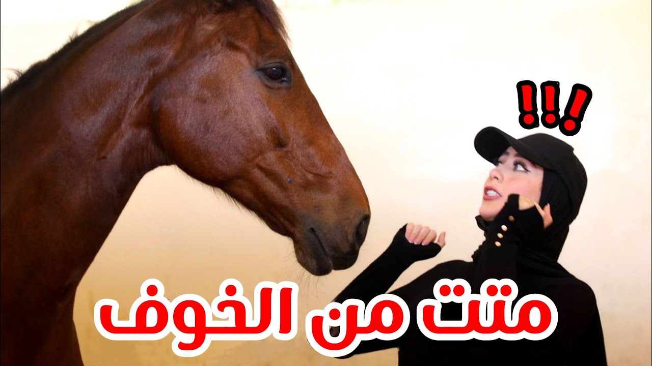اول مره بحياتي اجرب اركب خيل ! 😱 متت من الخوف شوفوا شو صار 😭💔 || شهد ناصر 🌸
