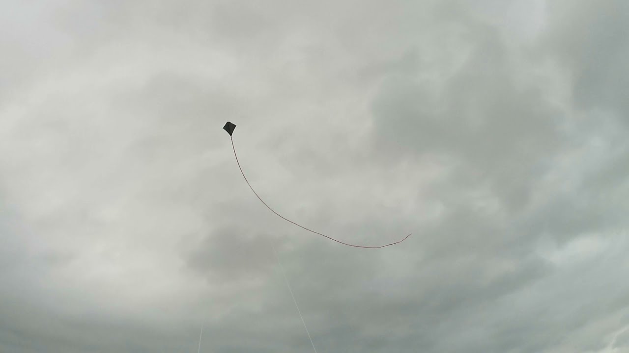 Peter Powell Skystunter  MK III Kite