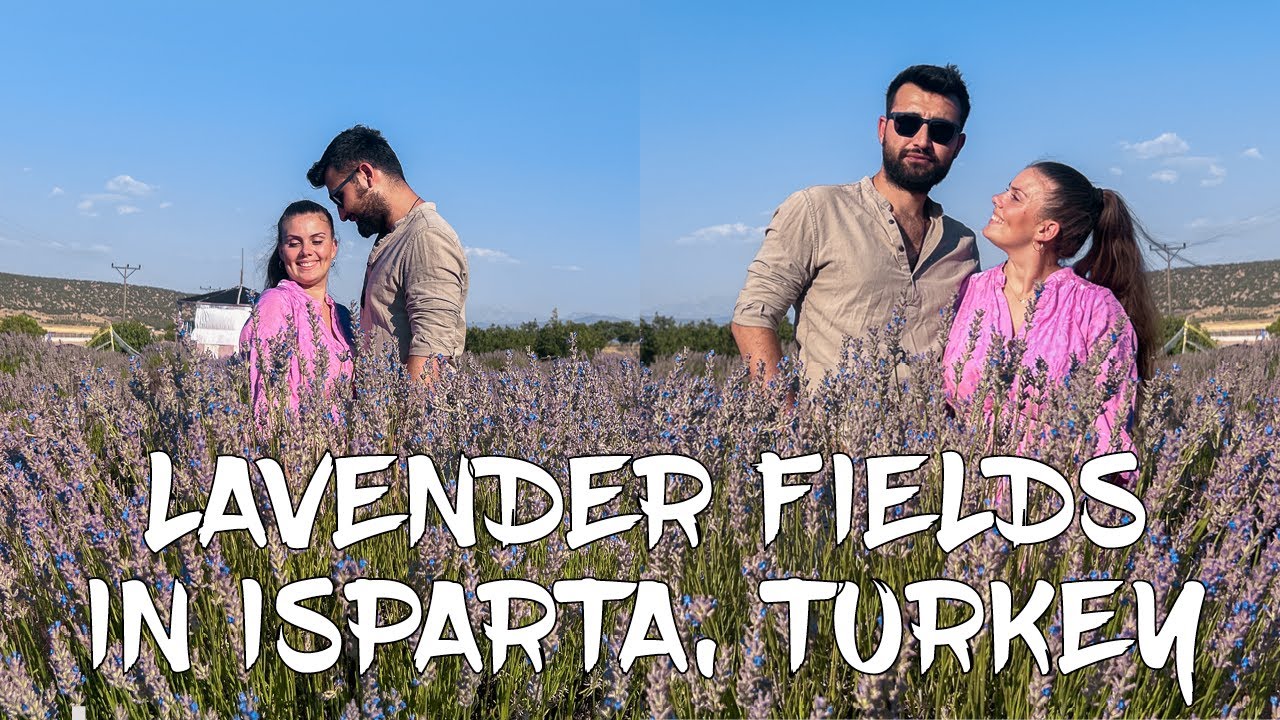 LAVENDER GARDENS in Isparta - FLOWER FIELDS in Turkey