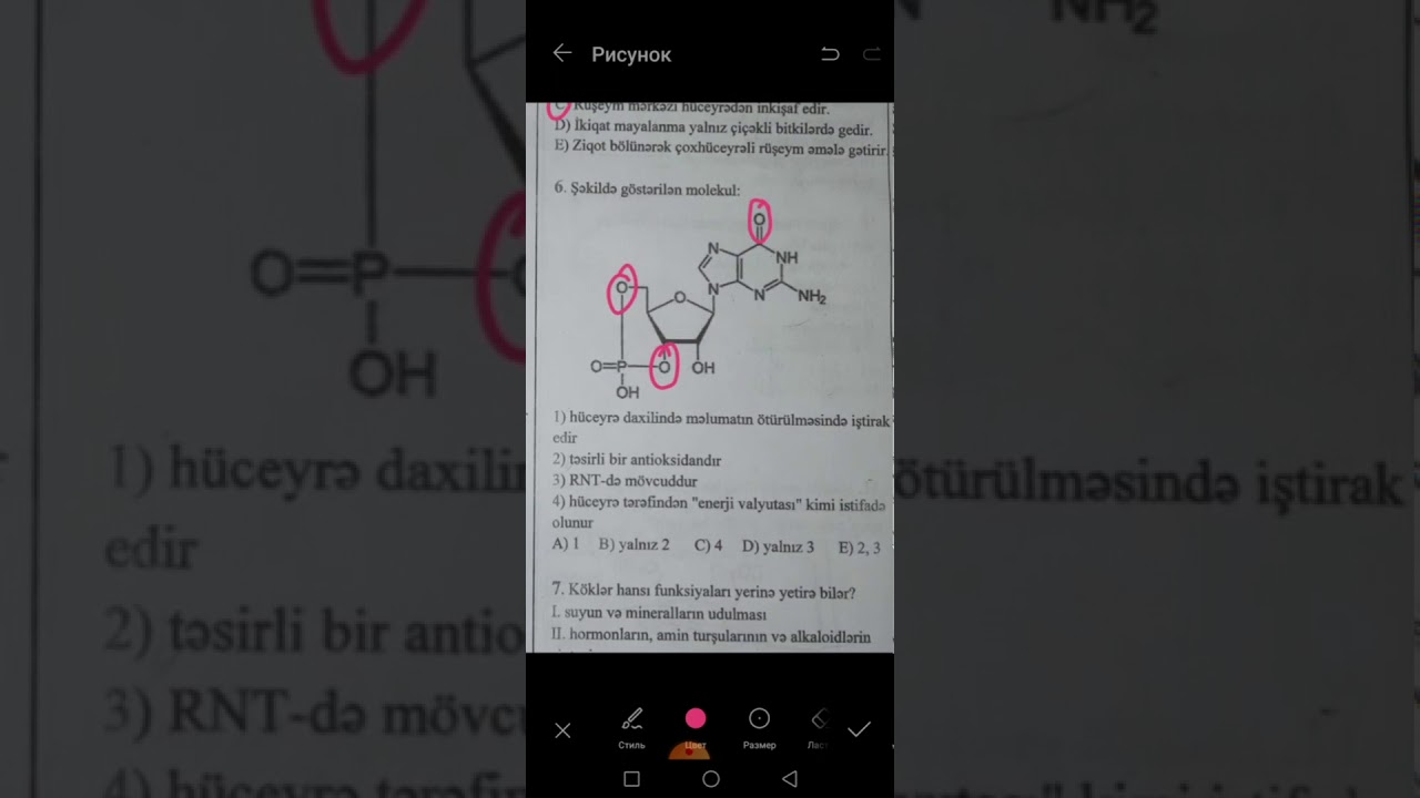 RFO Biologiya olimpiadasının 2020 /21 yarımfinal mərhələsinin sualları izahı ilə