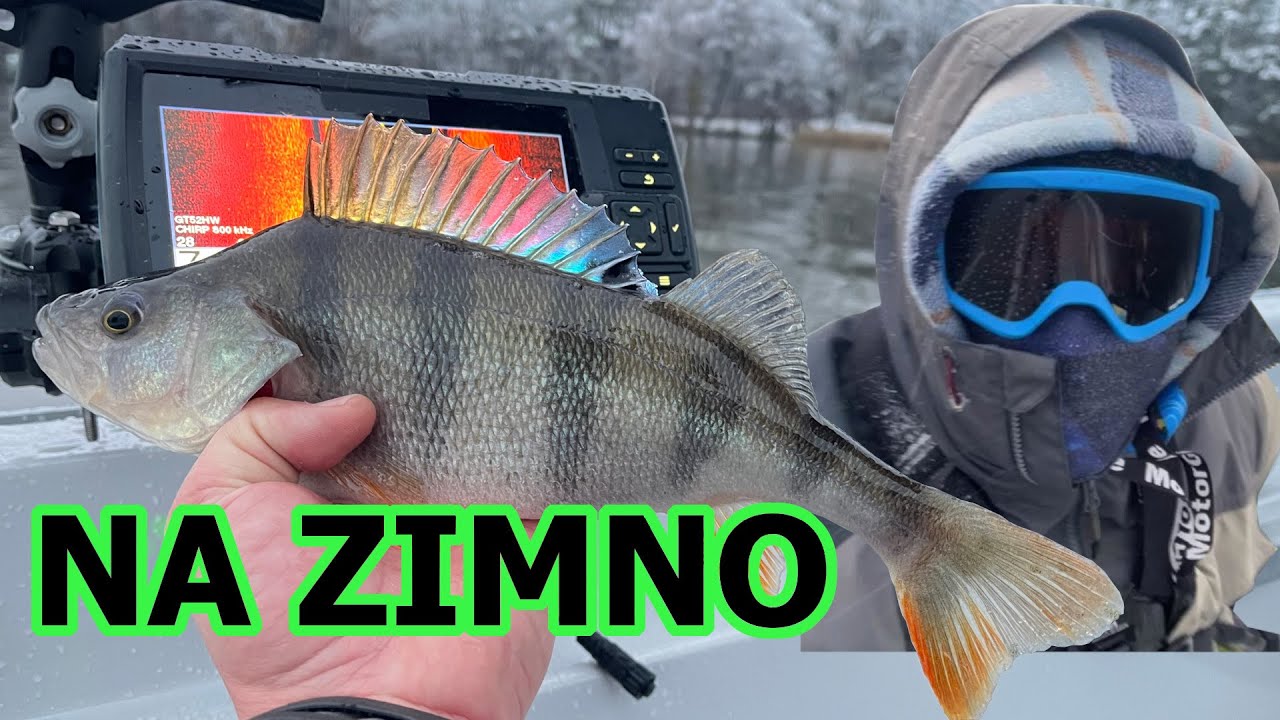 OKONIE NA ZIMNO ;) Gdzie złowiłem okonie? miejsca na echosondzie.