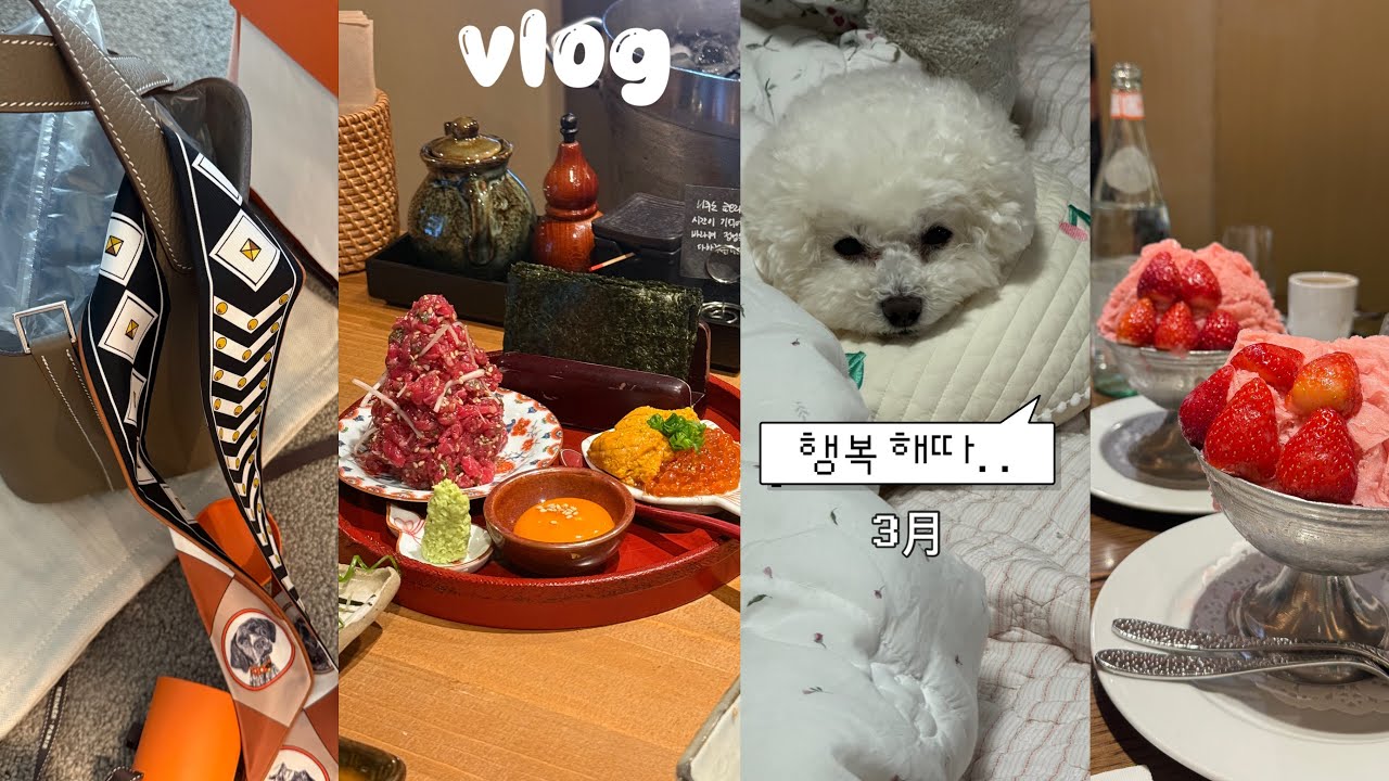 긴급여행허가서 내고 한국여행 다녀옴🥹  먹방찍고 왔어염🐷, 조선호텔 아리아, 영종도 맛집 추천, 스타벅스 애기봉점, 에르메스 워크인 성공 🍀