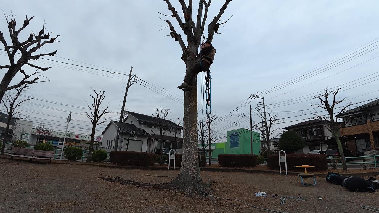 【定点カメラ】木登り練習【10倍速】