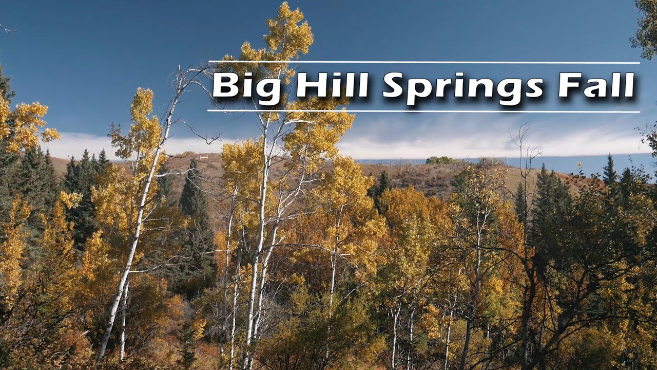 Big Hill Springs Provincial Park Fall | Journey Alberta