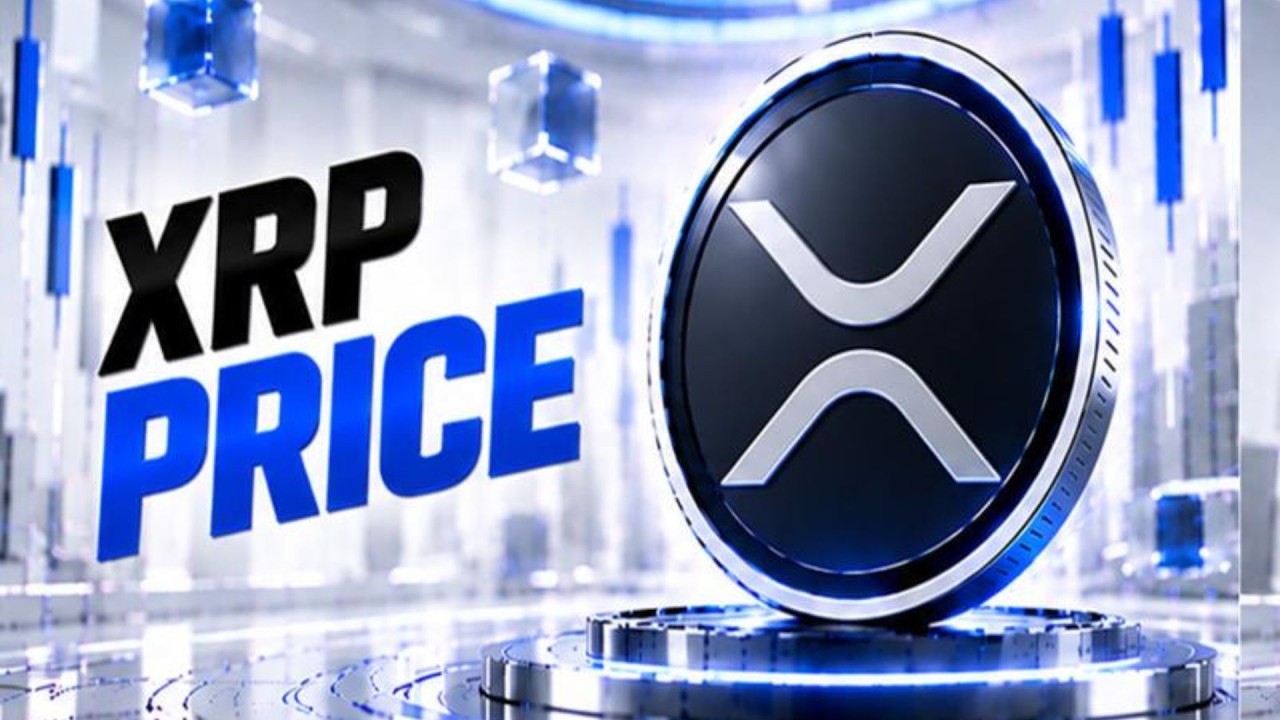 XRP PRICE WTF !!! MR POOL PRICE ACTIVATED !!! UPHOLD XRP ETF PARABOLIC !!! KOREA XRP SUPPLY SHOCK!!!