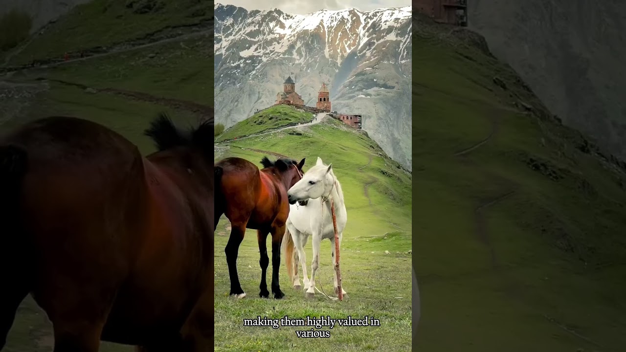 Horse 🐎 Majestic Companion and Symbol of Freedom #horse