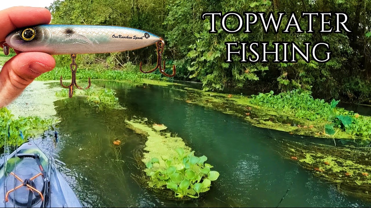 The SUPER SPOOK Had These River Bass FIRED UP! - Crazy Topwater Action