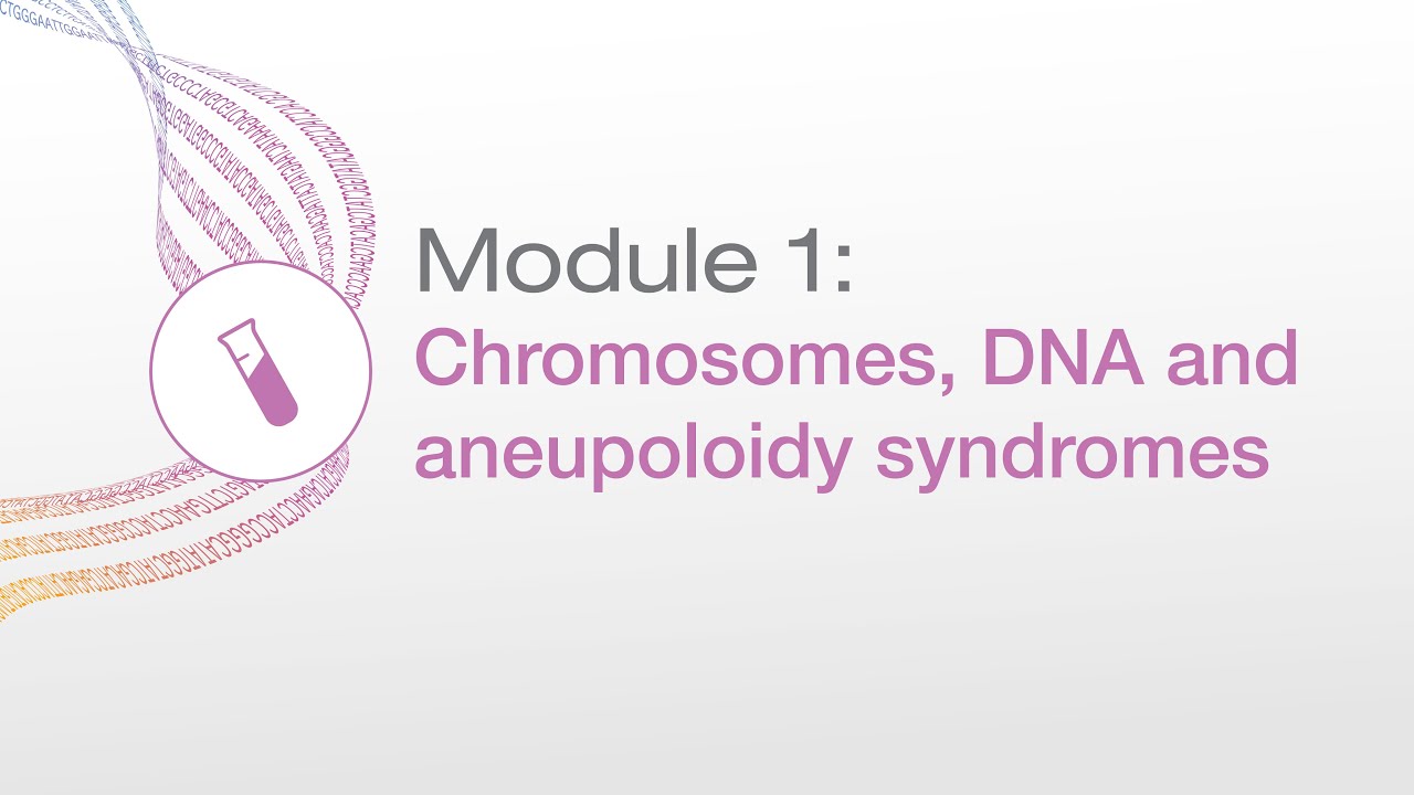Chromosomes, DNA, and Aneuploidy Syndromes | NIPT Webinar Series