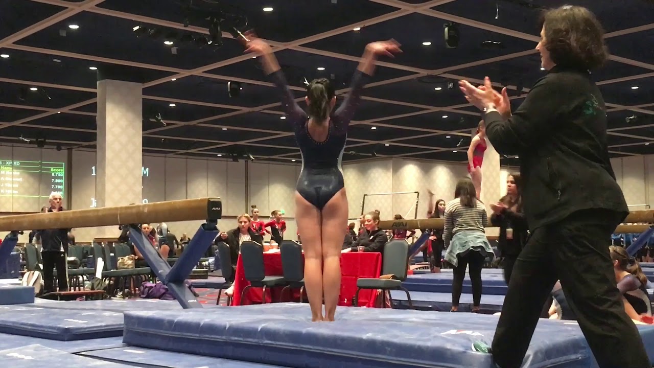 Great Destinations Gymnastics Invitational 2019 || Sydney Lo - Xcel Diamond