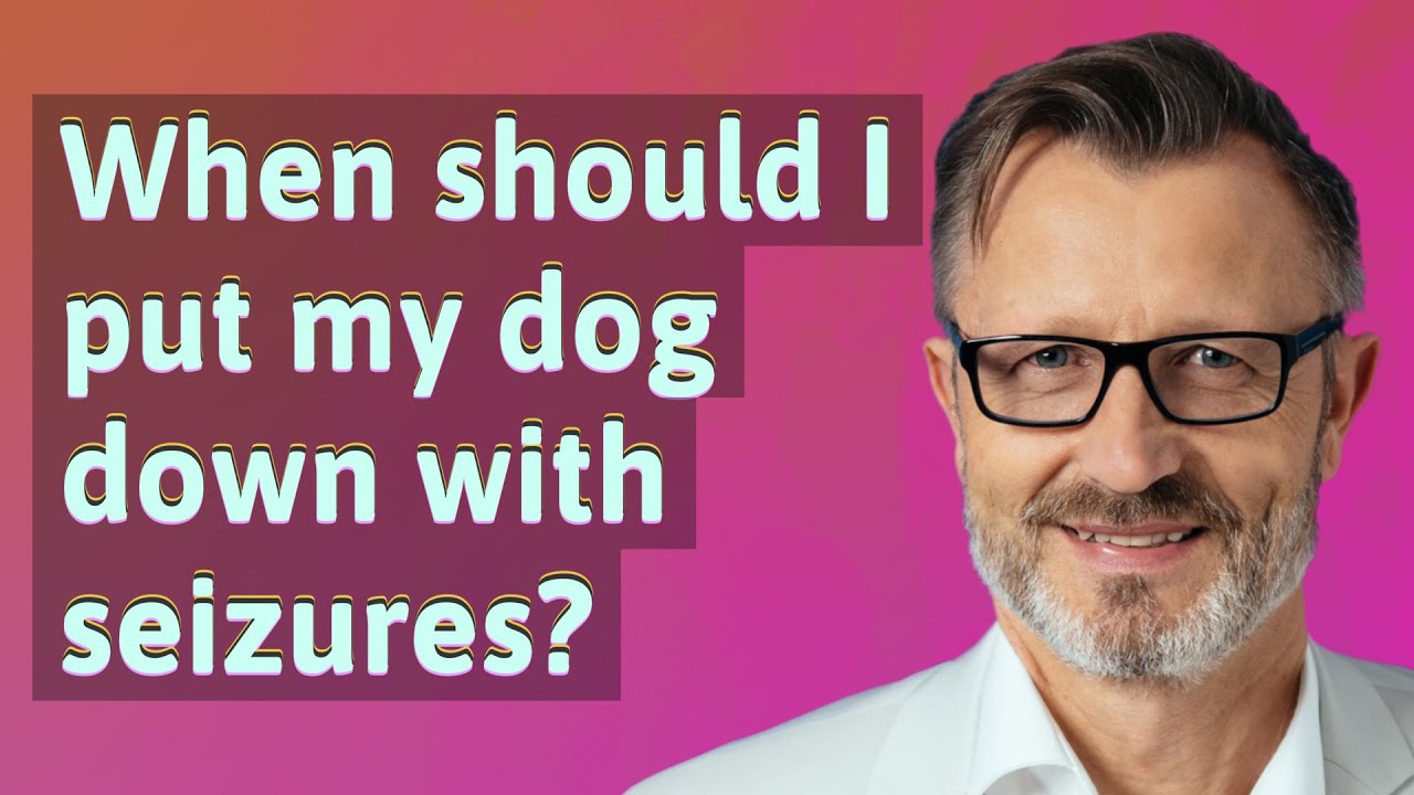When should I put my dog down with seizures?