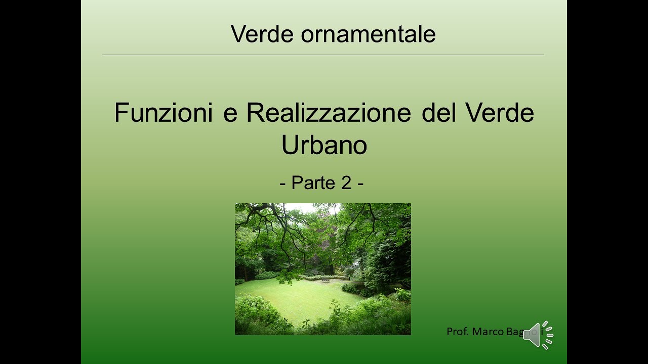 Verde Urbano: funzioni e realizzazione - parte 2 (messa a dimora degli alberi)
