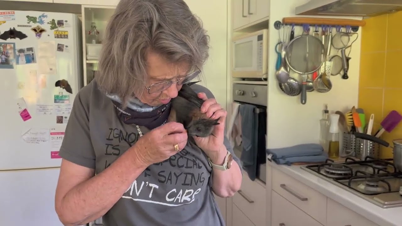 Auntie Jack chopping fruit, with a little assistance (or not) from a friend