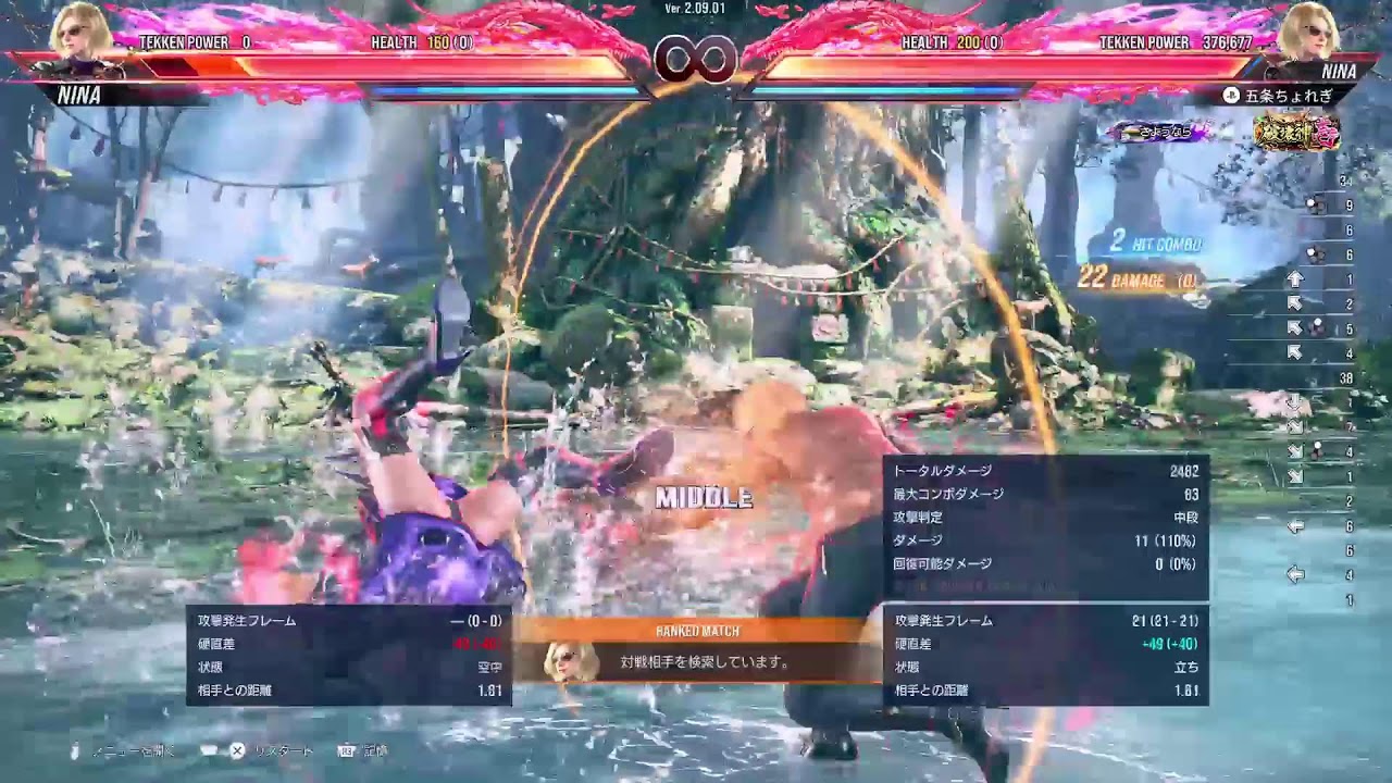 [鉄拳8/tekken8] [ニーナ/nina]　　ランクマ　　※固定10先募集