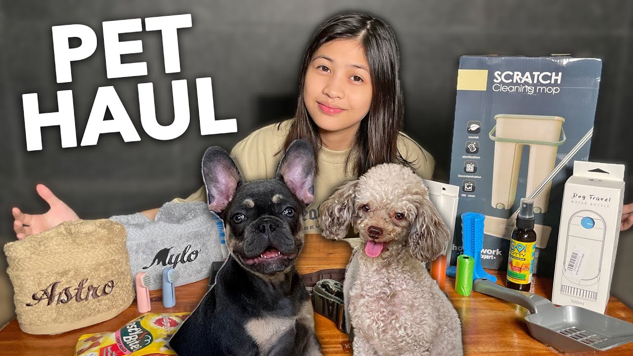 DOG ESSENTIALS HAUL (omg ang gastos pala hahaha) | Chelseah Hilary
