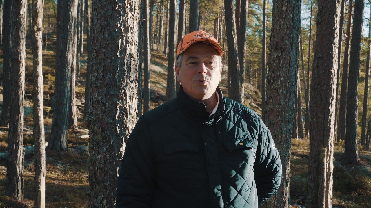 Äga skog - Köpa skog