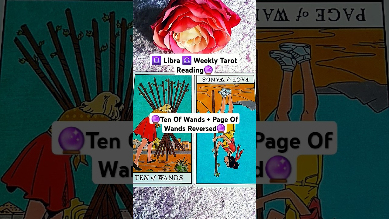 ♎ Libra ♎ Weekly Tarot Reading 23rd - 29th Sep 2024 #weeklytarotreading #tarot #libra