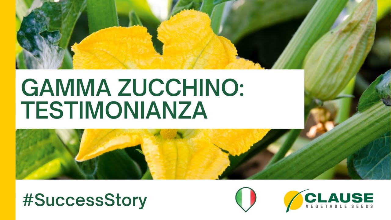 Gamma zucchino HM.CLAUSE: la fiducia dell'azienda Colle d'oro - #SuccessStory | HM.CLAUSE