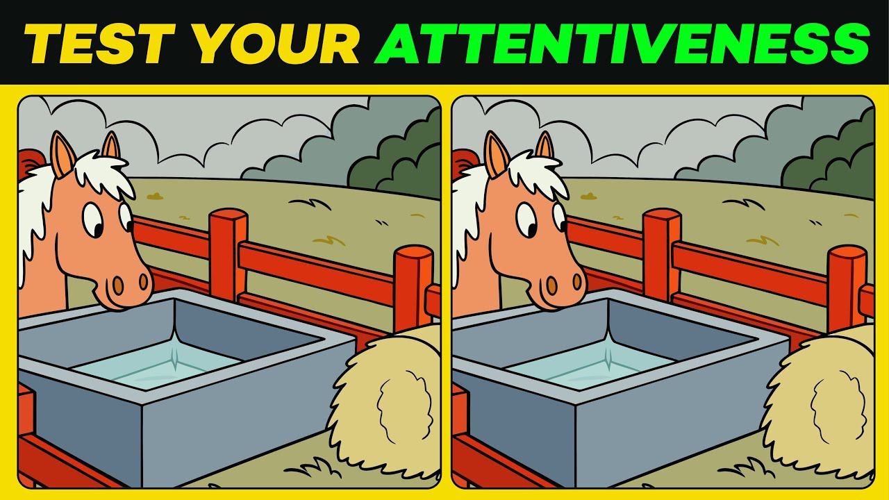 Genius Challenge: Catch the Difference Nobody Notices