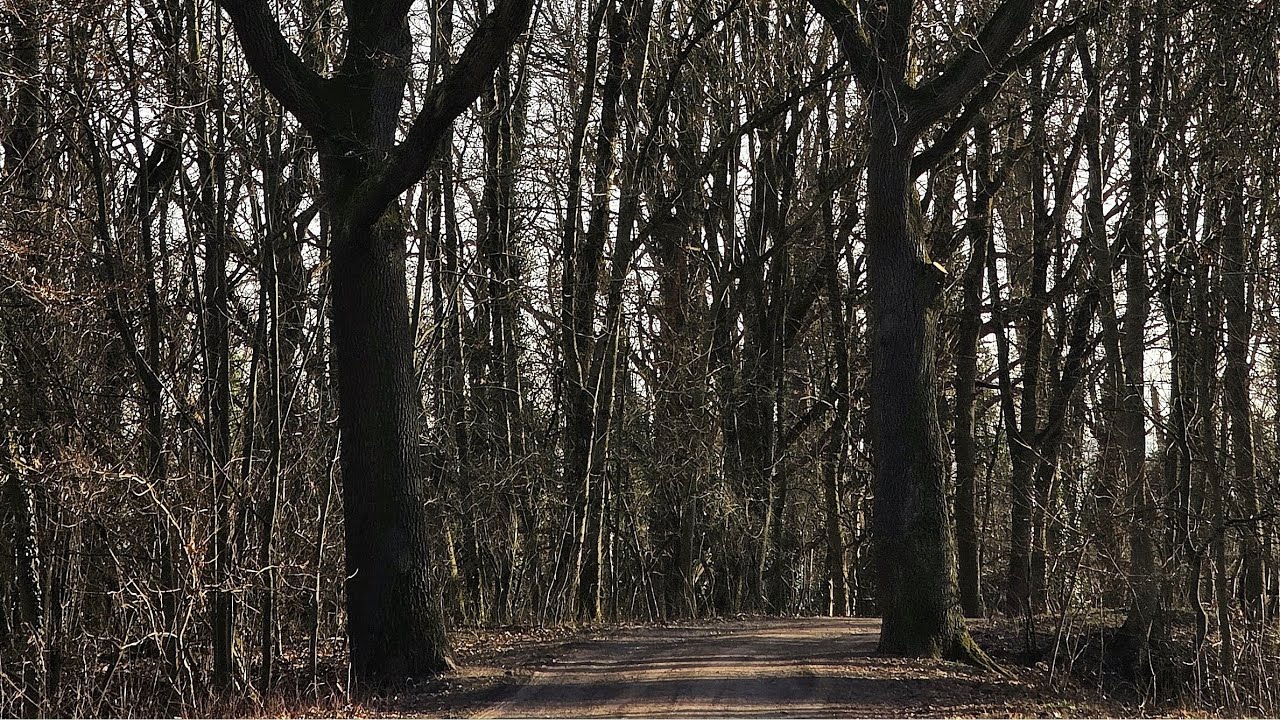 Wandelroute MA2 fort Sint Pieter Maastricht 20-1-2026 | ZENTRACX 4️⃣