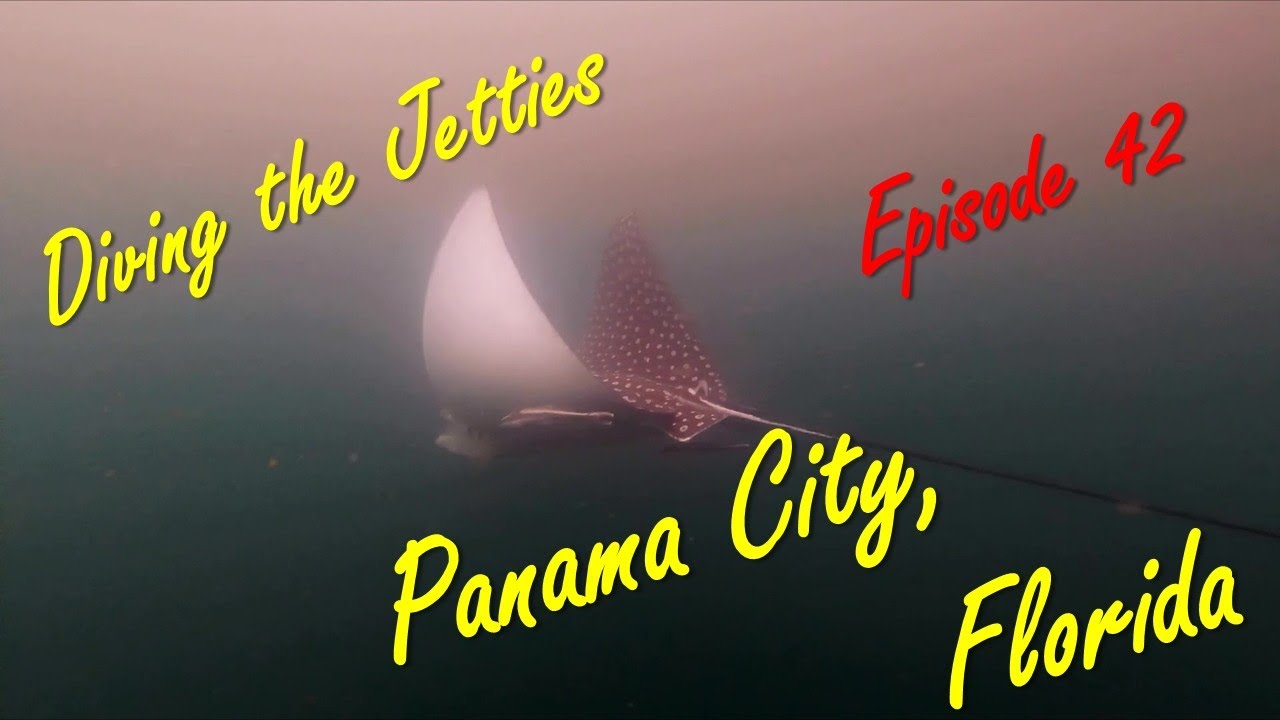 St. Andrews Jetties, Spotted Eagle Rays! - Episode 42