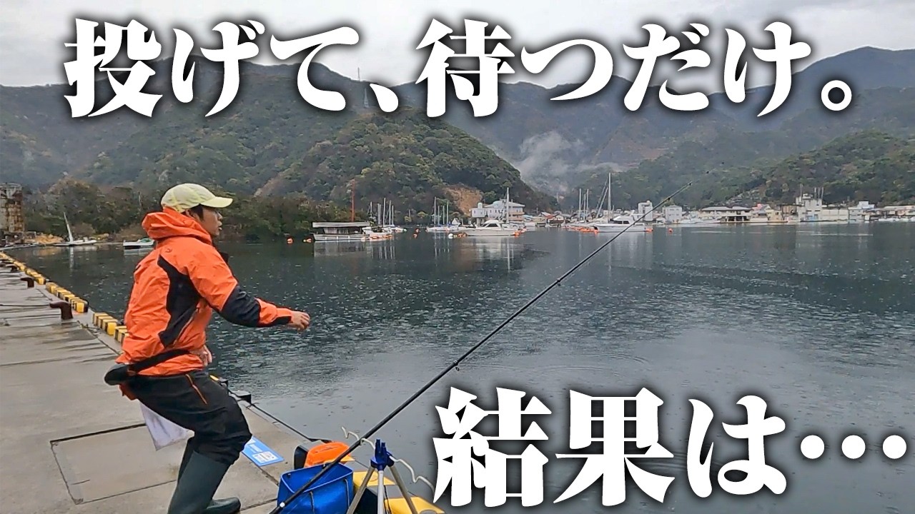 大歓喜の爆釣劇。投げて待つだけのサビキ釣りが、こんなに釣れると思わんかった