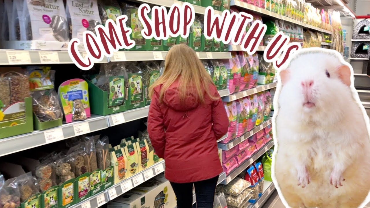 Going to the Pet Shop | Buying Guinea Pig Supplies
