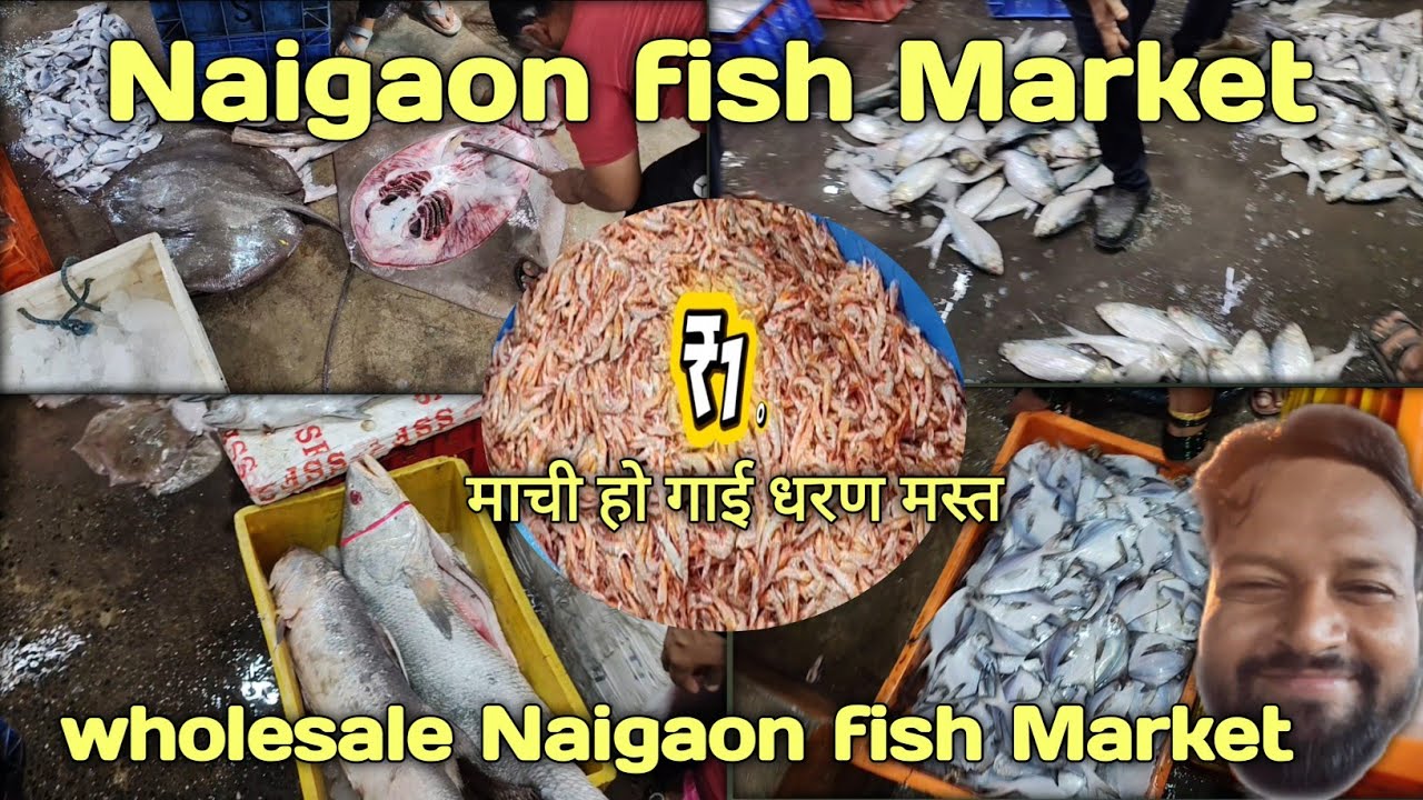 Naigaon fish Market || Naigaon fish Koliwada wholesale mumbai 