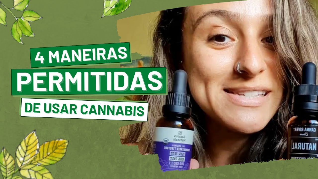 4 FORMAS PERMITIDAS DE USAR CANNABIS NO BRASIL | De Bem Com a Fibro