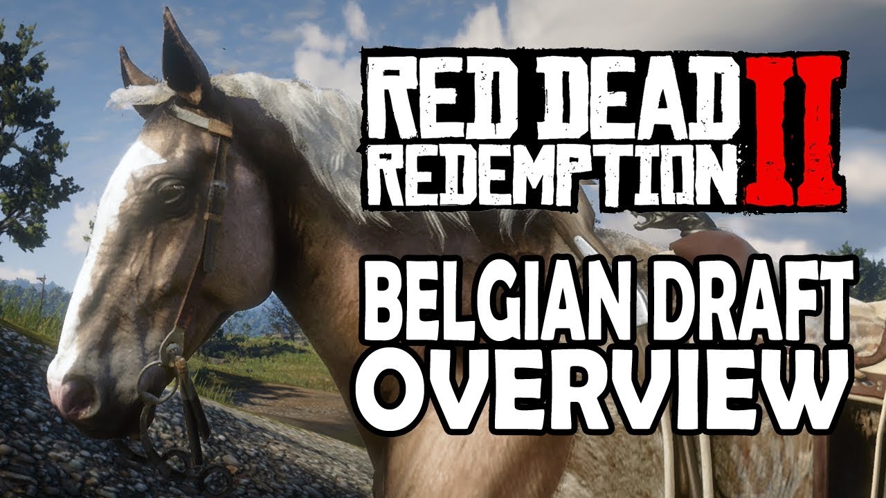 Red Dead Redemption 2 Horses - Belgian Draft Overview