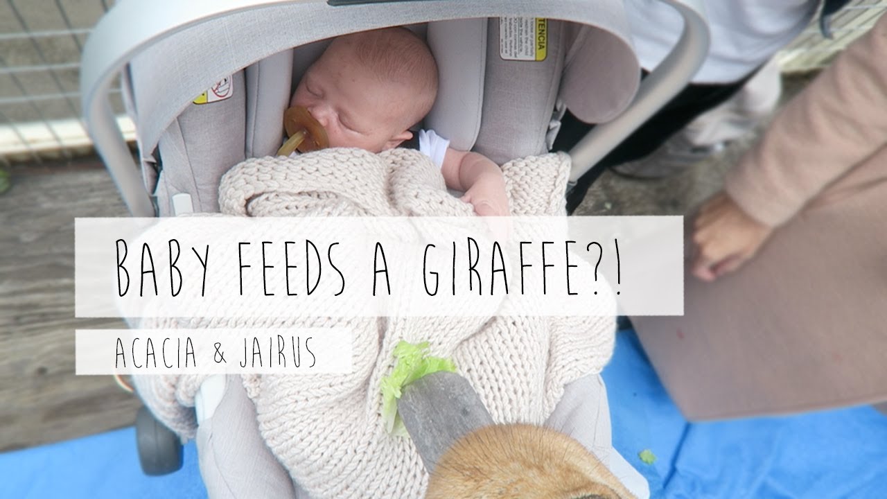 BABY FEEDS A GIRAFFE?! | ACACIA & JAIRUS