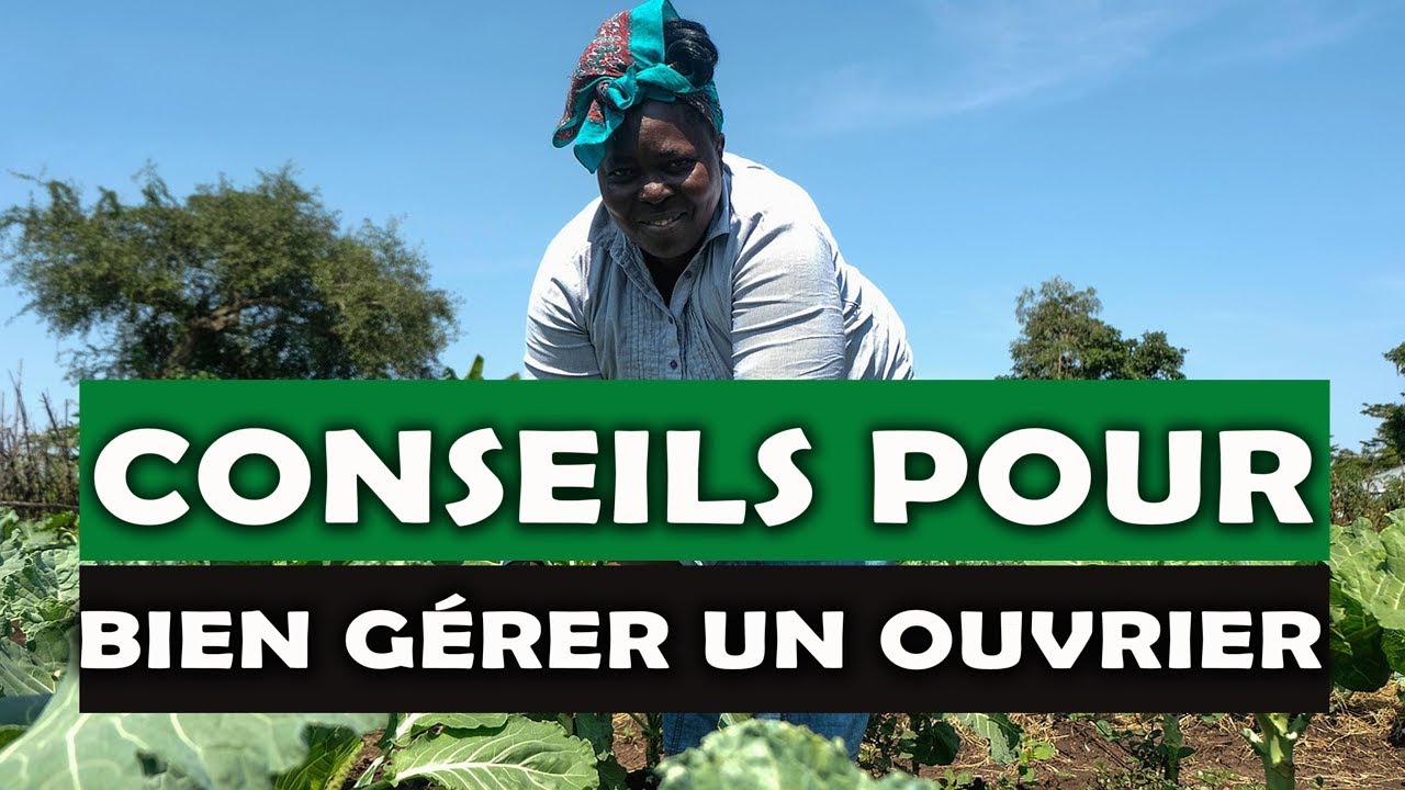 Conseil pour bien gérer une ferme agricole en Afrique