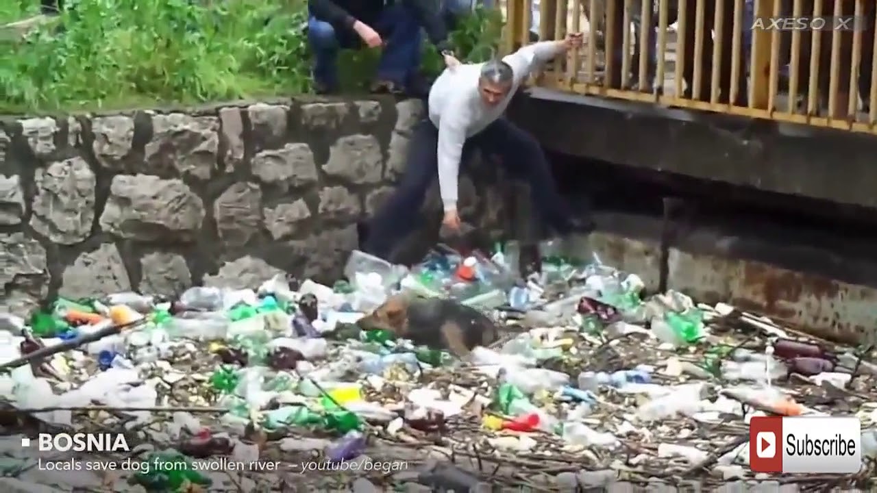 Shocking Video that made the whole world cry
