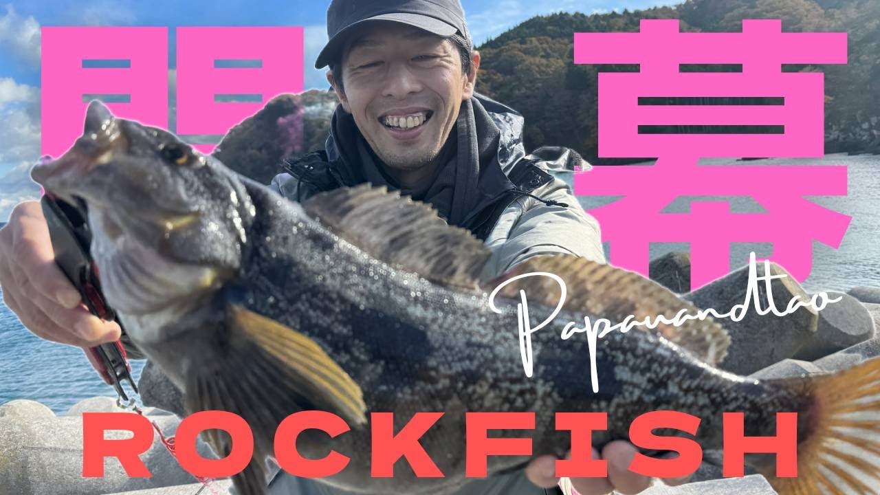 宮城県、牡鹿半島でロックシーズン突入！！