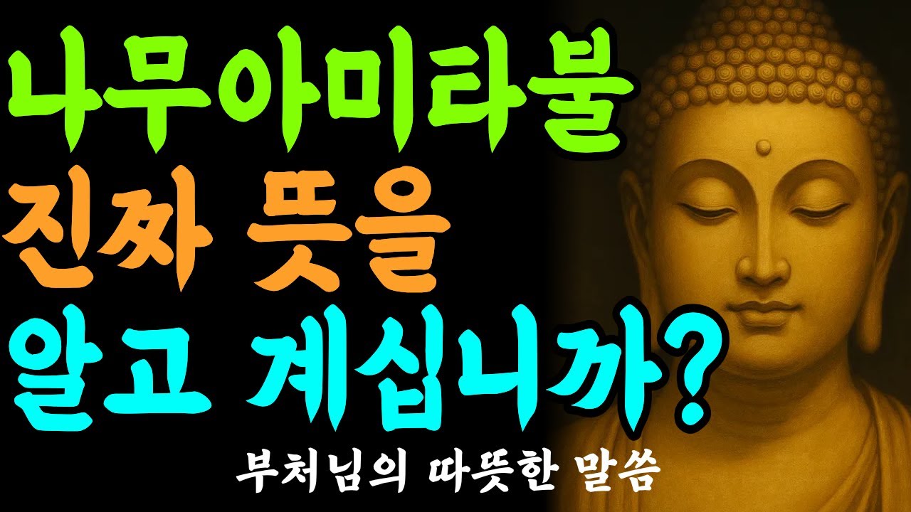 천수경 한 구절이 인생을 바꾼다 | 나무관세음보살의 진정한 의미와 실천법 | 부처님 말씀 | 불교 법문 | 석가모니 가르침 |