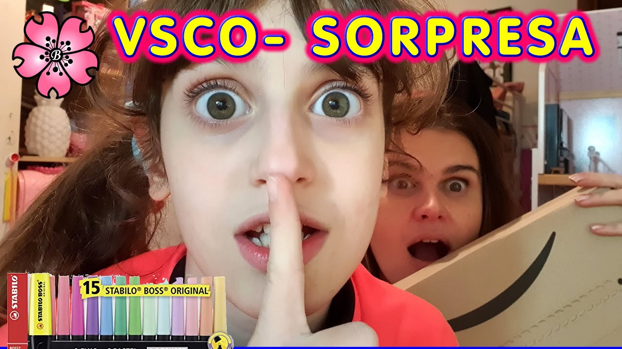 VSCO CHECK!! EVIDENZIATORI STABILO E PENNARELLI ROSA BIC A SORPRESA per LARA