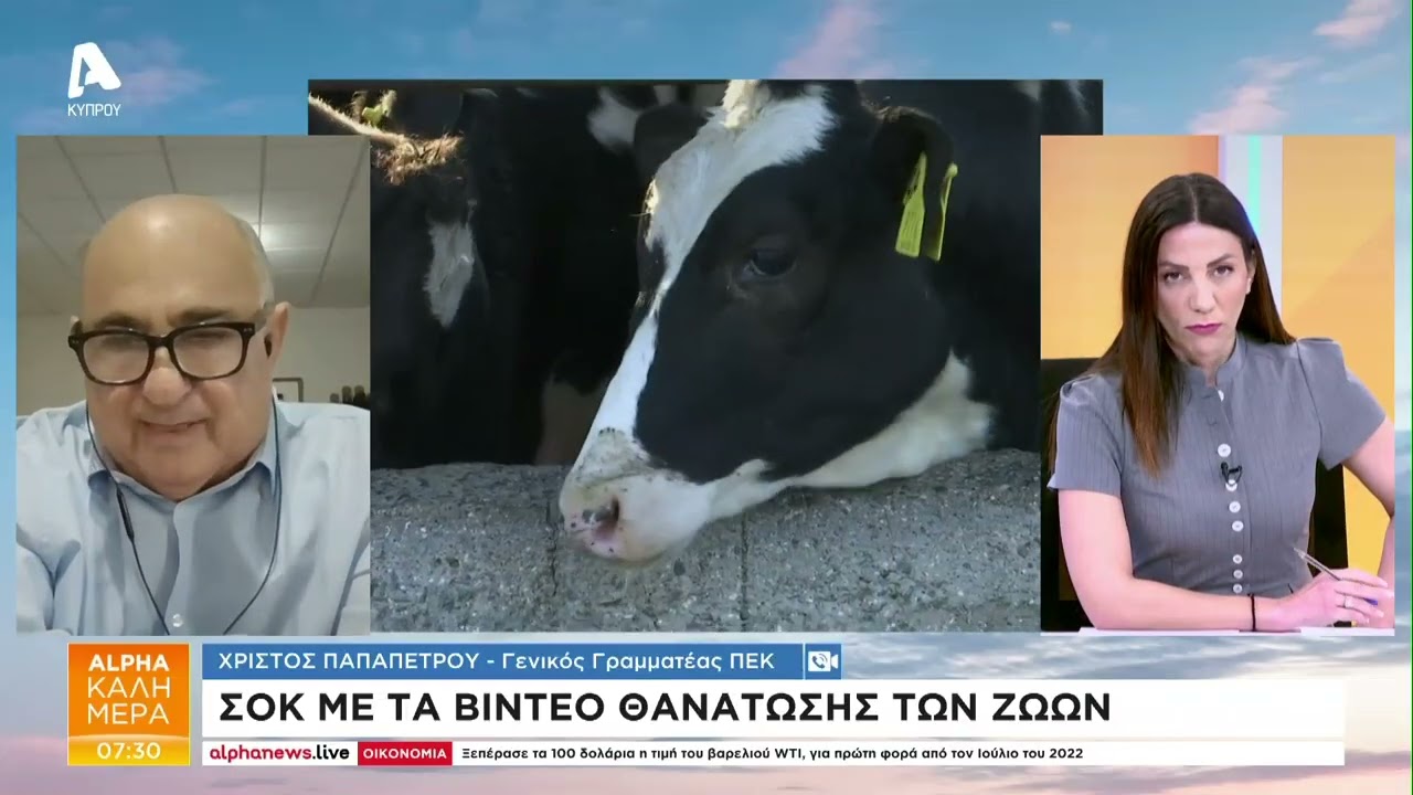 Αναβάλλονται οι θανατώσεις μέχρι να μιλήσει ο ΠτΔ με Ούρσουλα | AlphaNews Live