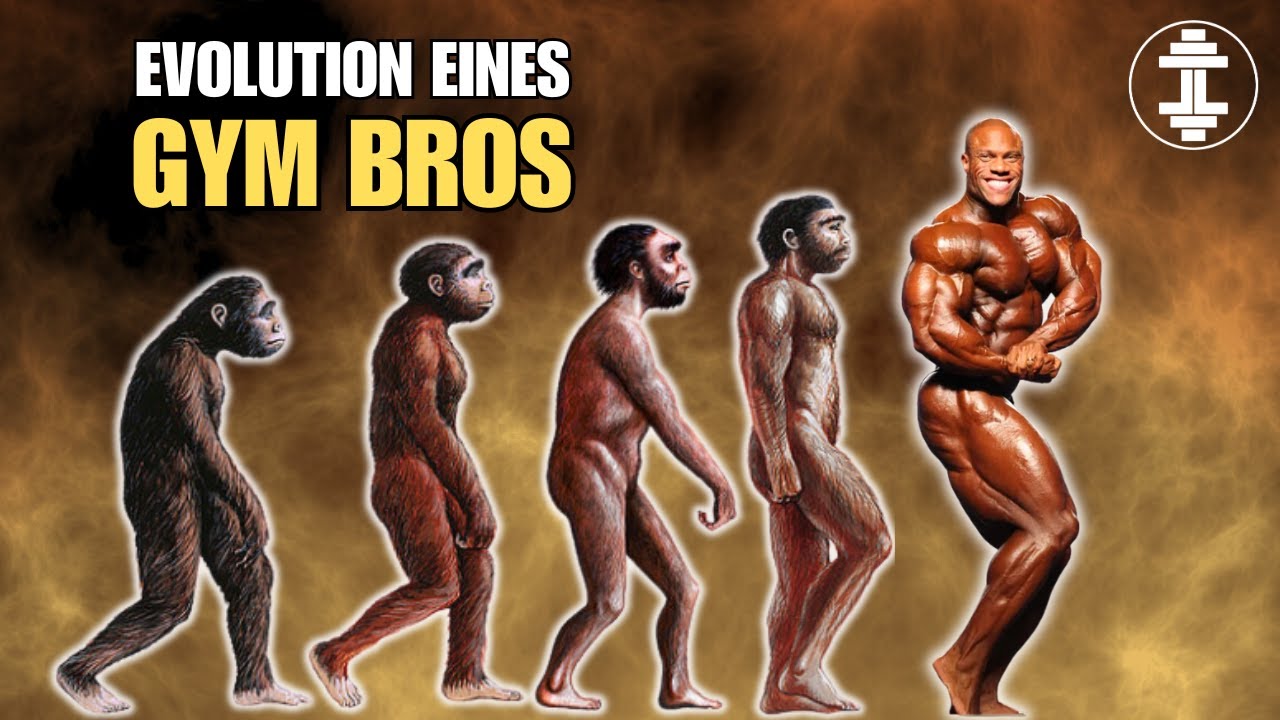 Die Evolution der Gym Bros