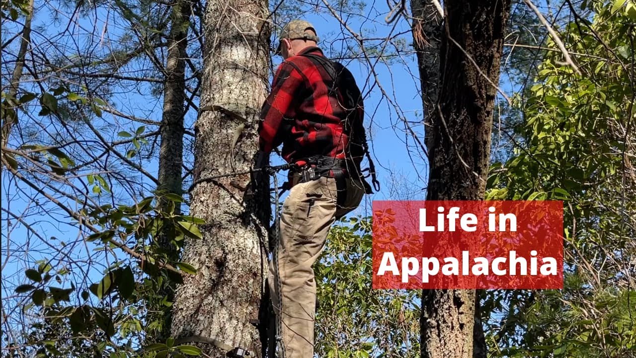 My Life in Appalachia 19 | Climbing Tall Trees, Finding Icicles, Making Music, and Eating Good Food