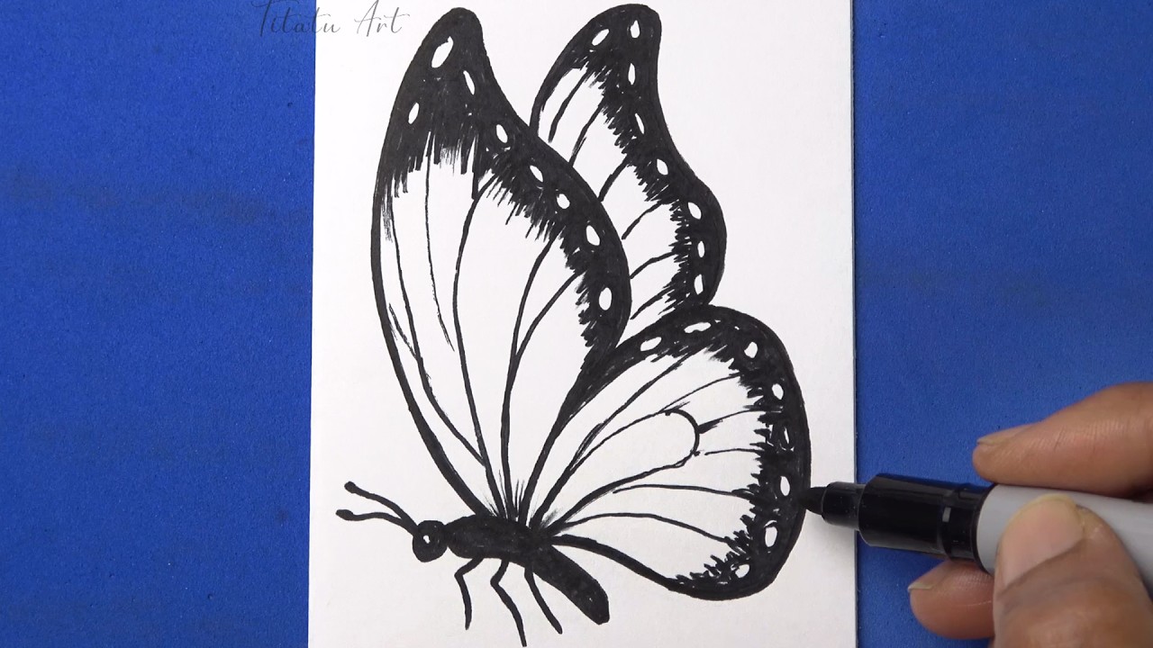 How to draw a Butterfly | Easy Step by Step