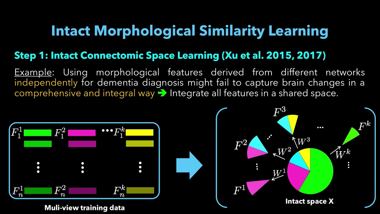 Intact Connectional Morphometricity Learning (Bessadok et al. MICCAI CNI 2018, Granada)