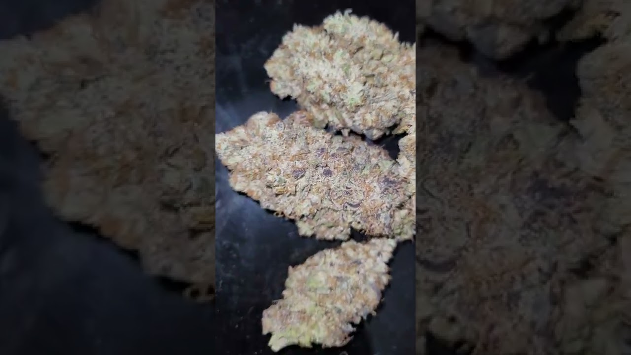 #New #newshorts #weed #purpleweed #shortvideo
