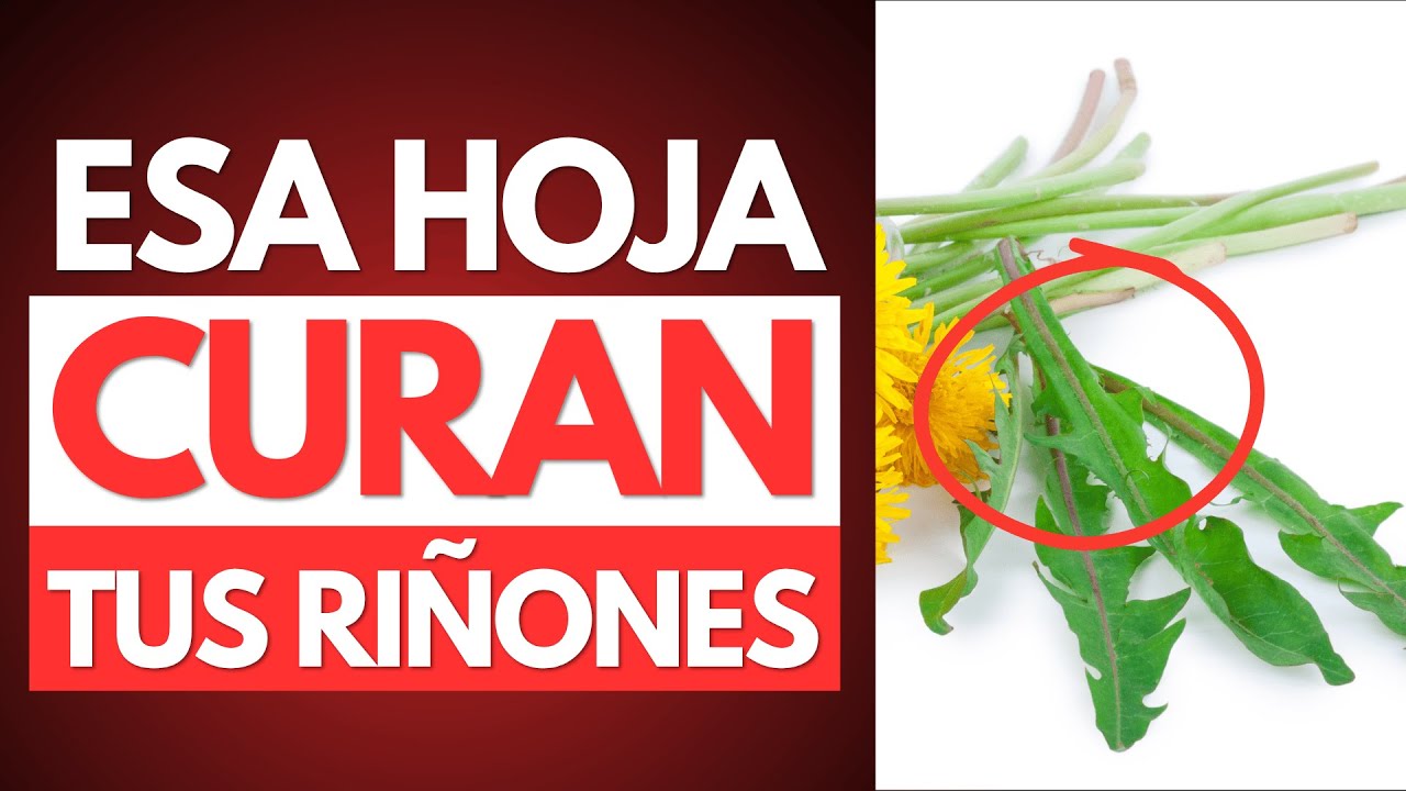 El remedio natural que los médicos dejaron de usar (y salva tus riñones)