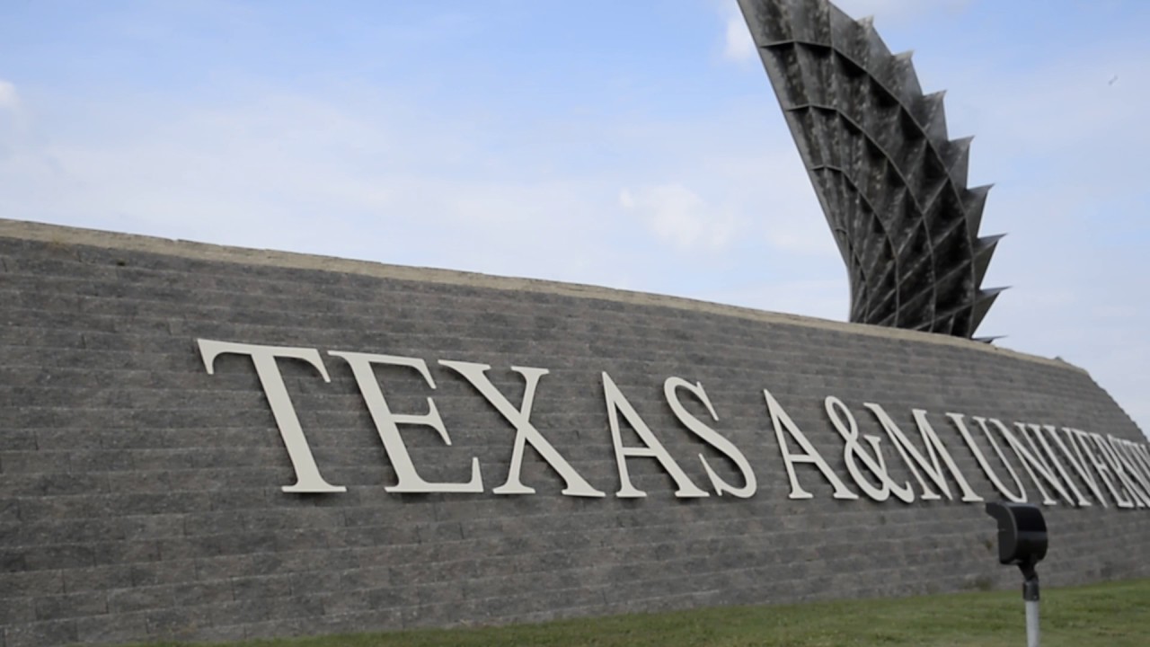 Student Veteran Makes Marine Biology His Focus at A&M-Corpus Christi
