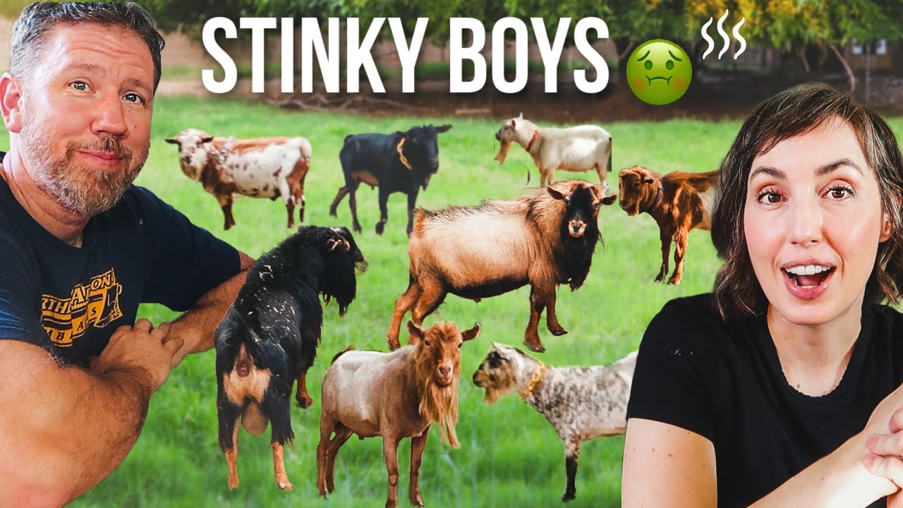 We Brought 25 Bucks to the Farm &mdash; Here&rsquo;s Why 👀