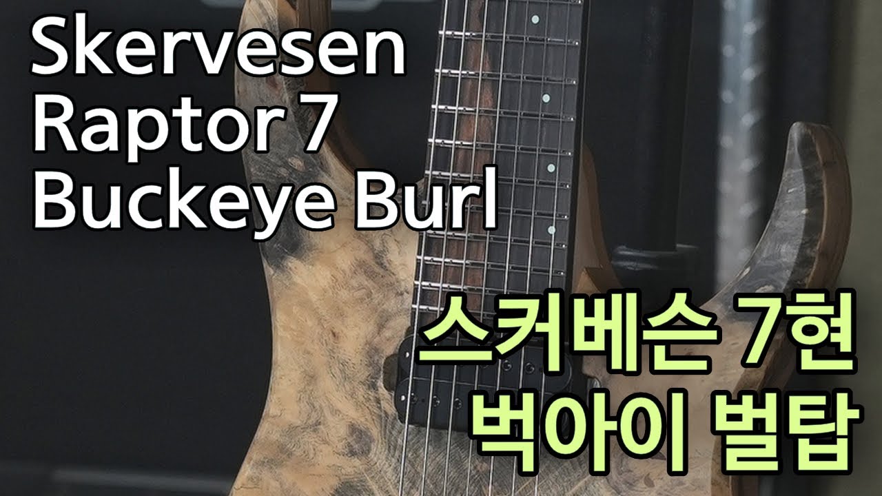 Skervesen Raptor 7 Lundgren Black Heaven 정마토 시연